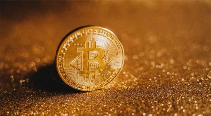 Why Crypto is a Long-Term Solution for Online Gambling crypto online gambling