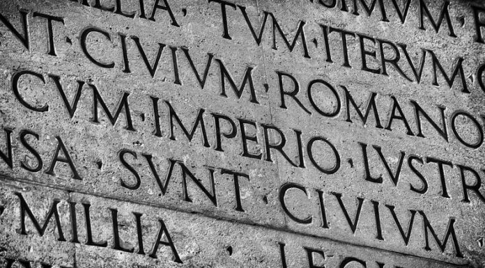 Latin Terms or Phrases We Often Use in English latin language