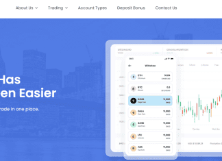 Marketsbank.com Review 2022 – My Opinion of Markets Bank marketsbank