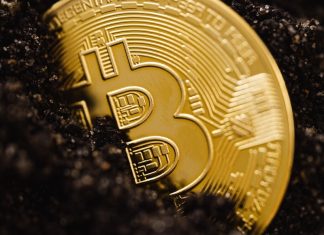 Crypto - growth