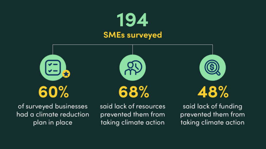 SMEs Surveyed