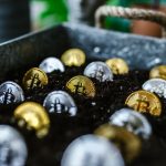 The 5 Most Sustainable Cryptocurrencies for 2022 Sustainable Cryptocurrency