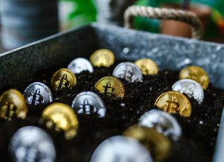 Sustainable Cryptocurrency
