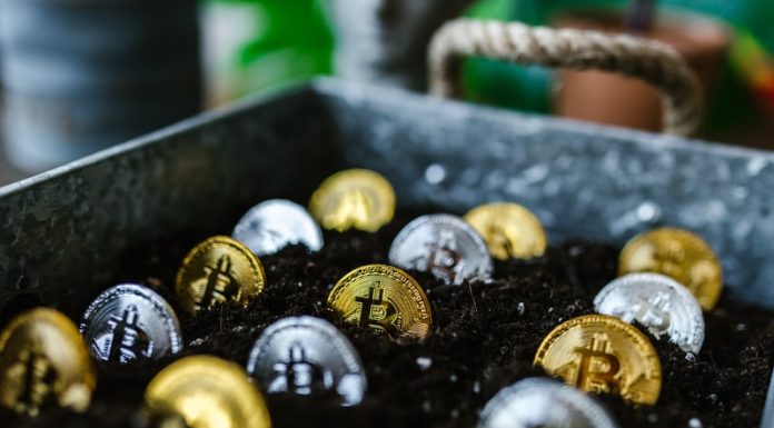 Sustainable Cryptocurrency