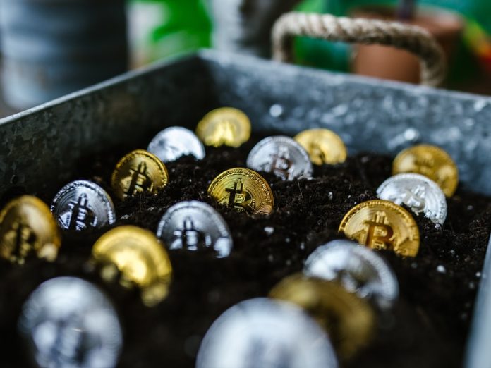 Sustainable Cryptocurrency