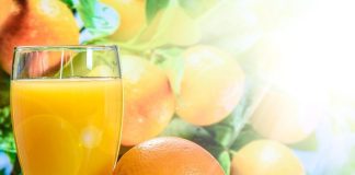 Top 4 Fruit Trees To Grow In Your Garden