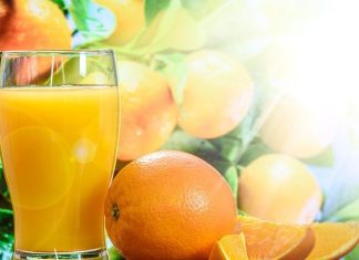Top 4 Fruit Trees To Grow In Your Garden