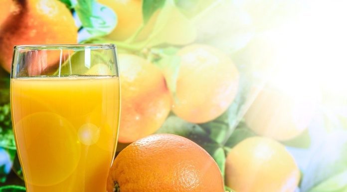 Top 4 Fruit Trees To Grow In Your Garden