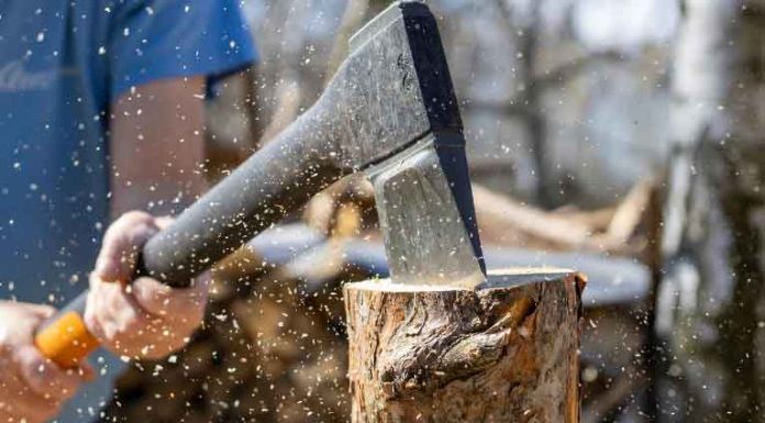 Tree Surgeon Prices 2022 : Comparing Top Tree Removal Costs In UK Tree-Surgeon