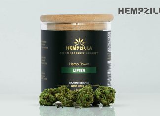 The Ultimate Guide to Lifter Hemp Flowers Hemp Flowers