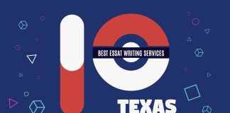texas-essay-writing-services