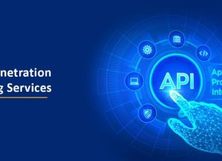 A Comprehensive Guide to API Penetration Testing: Essential Tips, Checklist, and More! A Comprehensive Guide to API