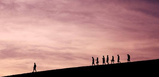 As Industries Change, So Too Should Adaptive Leadership