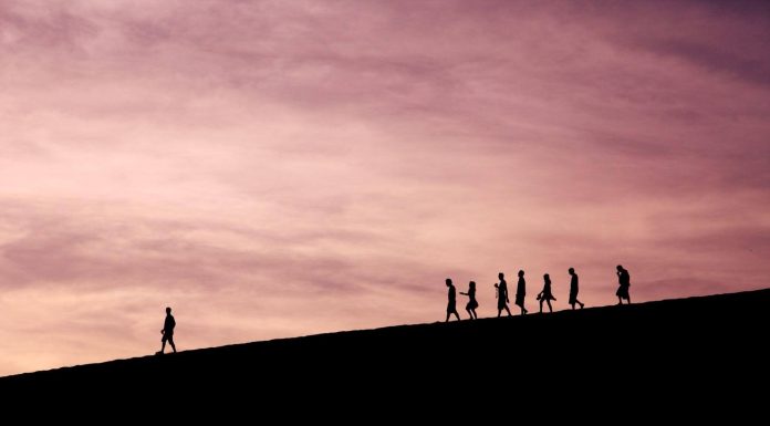 As Industries Change, So Too Should Adaptive Leadership As Industries Change, So Too Should Adaptive Leadership