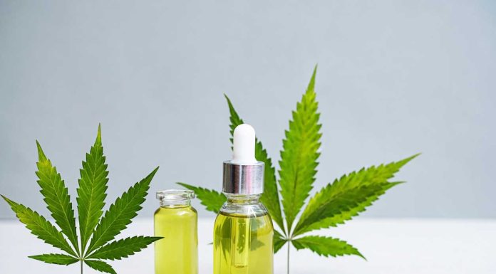 Why Starting a CBD Business is a Smart Investment CBD-Business