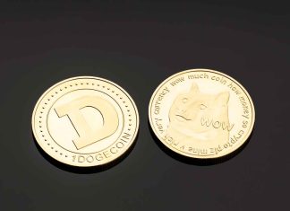 A Complete Guide on Buying Dogecoin on Guarda Securely Dogecoin