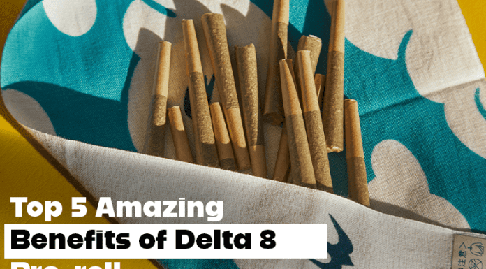Top 5 Amazing Benefits of Delta 8 Pre-roll Top-5-Amazing-Benefits-of-Delta-8-Pre-roll