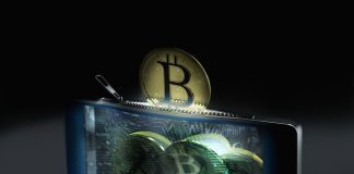 bitcoin cyber wallet