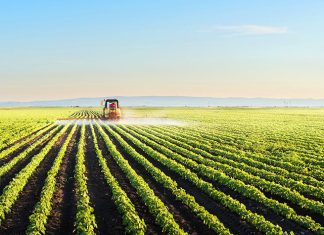 Agriculture
