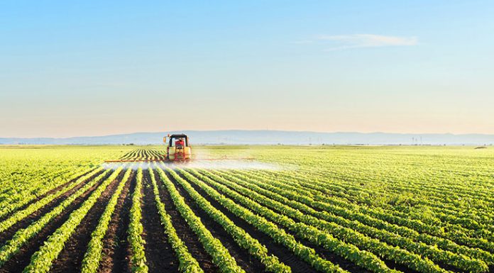 The Influence of Agrigenomics on the Future of Agriculture Agriculture