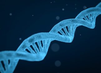 DNA