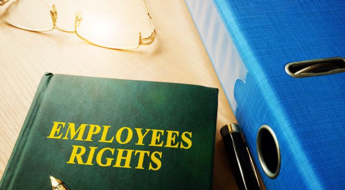 What Employment Rights do Digital Nomads Have? employment rigths