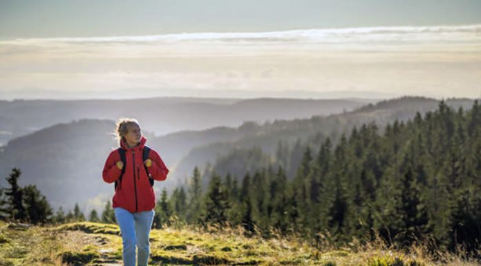 Choosing Your Ideal Hiking Jacket of Your Journey