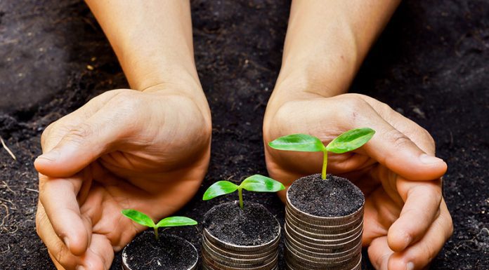 Intentional Money: Strategies for Sustainable Finance