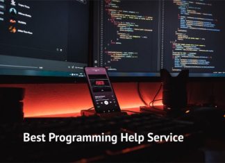 Best Programming Help Services program help service