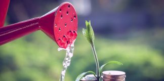 Money and plant with hand
