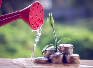 How to Save Money as a Startup Money and plant with hand