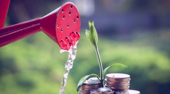 How to Save Money as a Startup Money and plant with hand