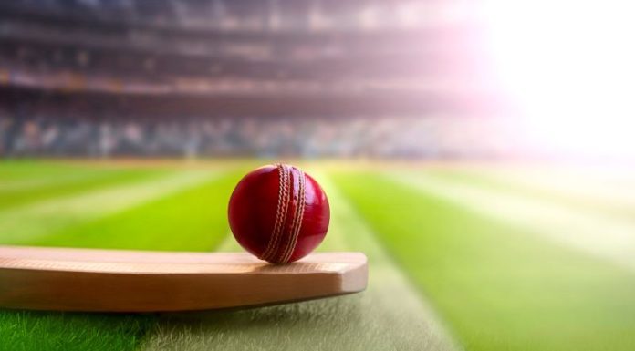 Best Cricket Sites for Detailed Betting Analysis Cricket