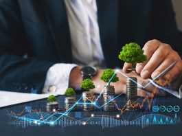 sustainable investment