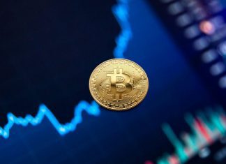 Can You Make Profit From Automated Crypto Trading Bots? Can You Make Profit from Automated Crypto Trading Bots