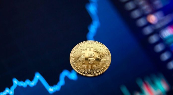 Can You Make Profit From Automated Crypto Trading Bots? Can You Make Profit from Automated Crypto Trading Bots