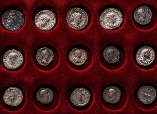 Coin-collector