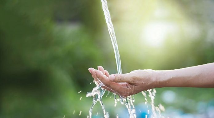 ESG Strategy in Action ESG Strategy