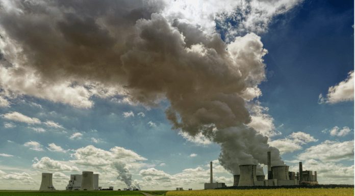 What You Need to Know About Climate Trade Climate Trade