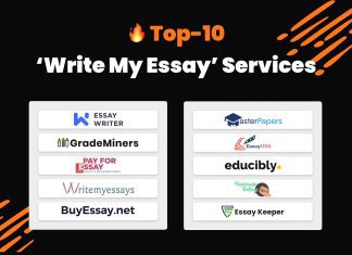 essay