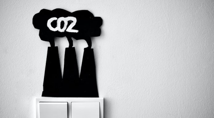 Do You Know What Your Business’s Carbon Footprint Is? Carbon Footprint