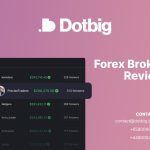 Forex Broker Dotbig Review: Terms of Cooperation Forex Broker Dotbig Review