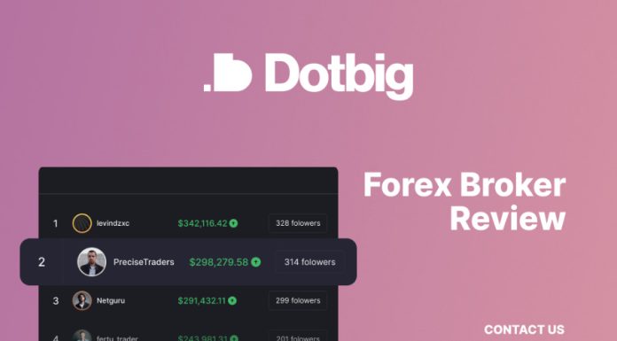 Forex Broker Dotbig Review: Terms of Cooperation Forex Broker Dotbig Review