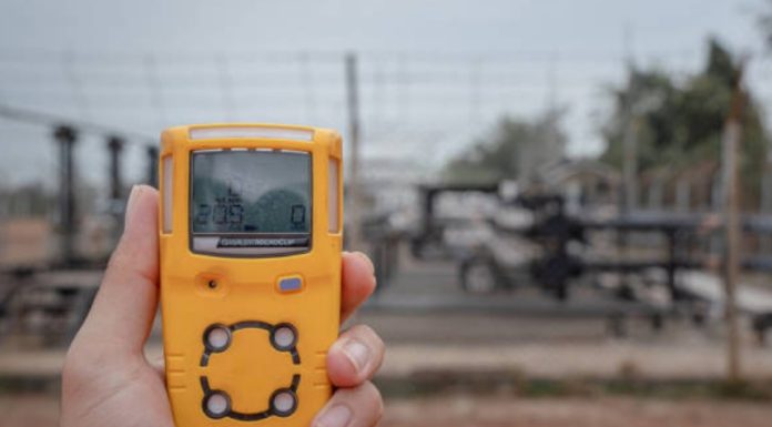 The Ultimate Guide: Build Your Custom Real-Time Object Detector object detector