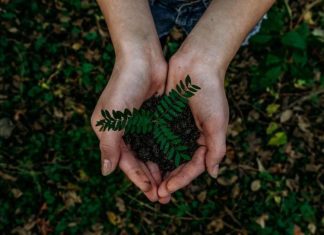 sustainable business