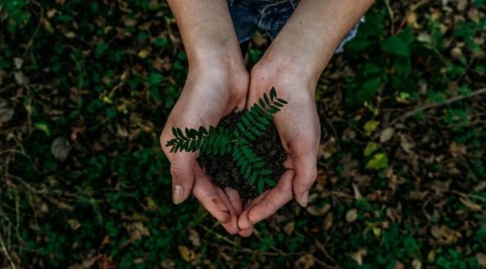 6 Sustainable Businesses in France with Innovative Approaches sustainable business