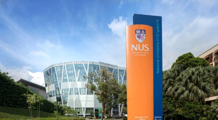 Thought Leadership, Frameworks, Tools and Immersion: Interview with Dr Prem Shamdasani of NUS Business School NUS EMBA