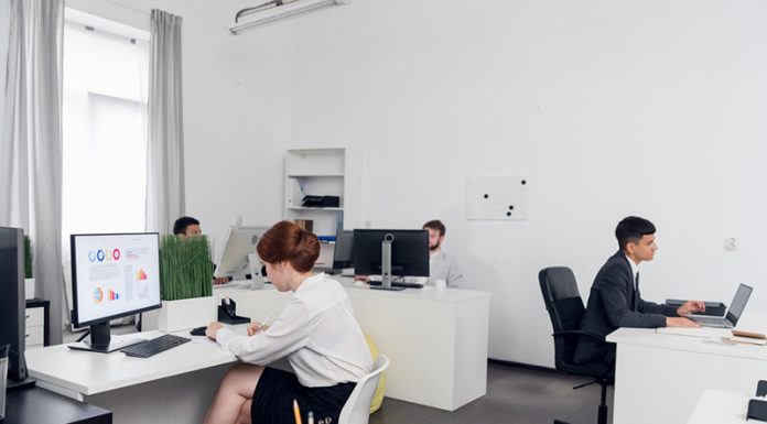 Understanding The Different Types Of LLC And Which Best Fits Your Business Business