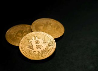 Bitcoin 360 AI Review: Has The Research Of Reliable Trading Systems Come To An End? Bitcoin-AI