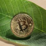 Bitcoin Is Healing the Planet